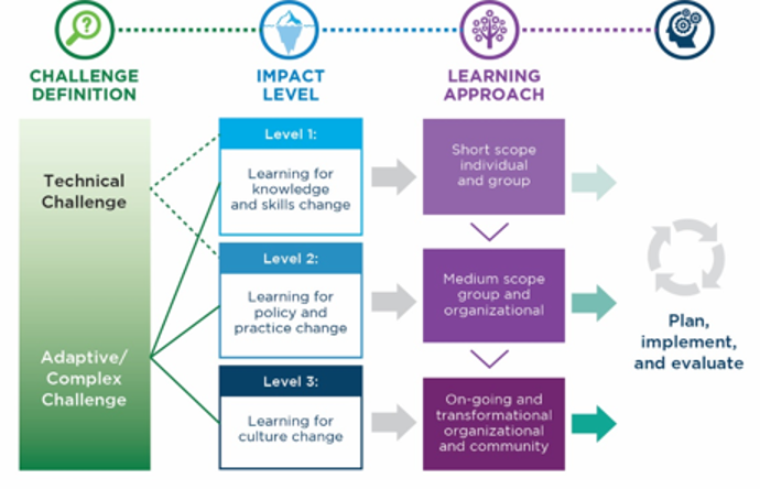 Worksheet - Step 5 - Public Health Learning Agenda