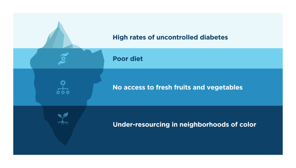 High rates of uncontrolled diabetes, poor diet, no access to fresh fruits and vegetables, under-resourcing in neighborhoods of color
